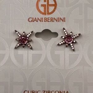 Giani Bernini Pink Starburst Earrings